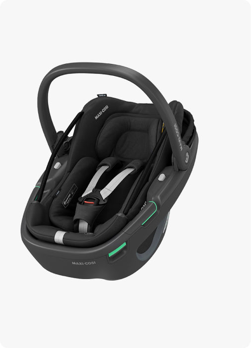 h-stroller-cat-5